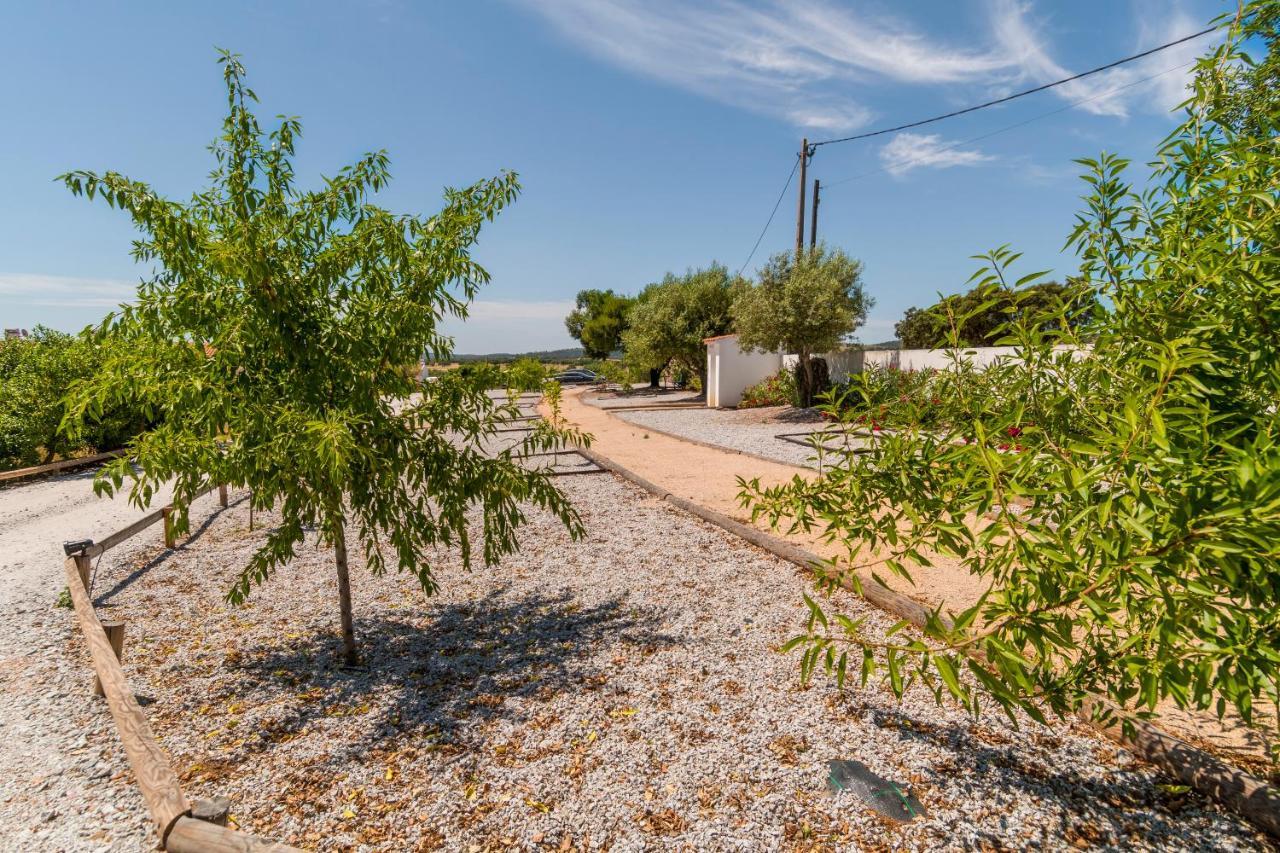 Monte Da Cabeca Gorda Bed & Breakfast Alcacovas ภายนอก รูปภาพ